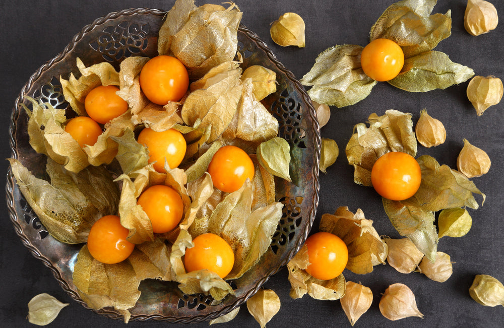 Pineapple Ground Cherry (Physalis pruinosa) Seeds – 50 ct