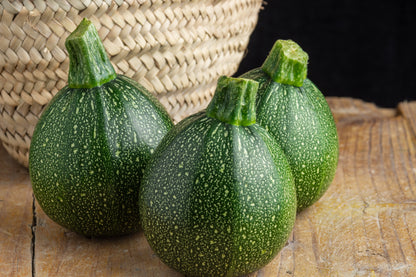 Round Zucchini (Cucurbita pepo) Seeds – 50 ct