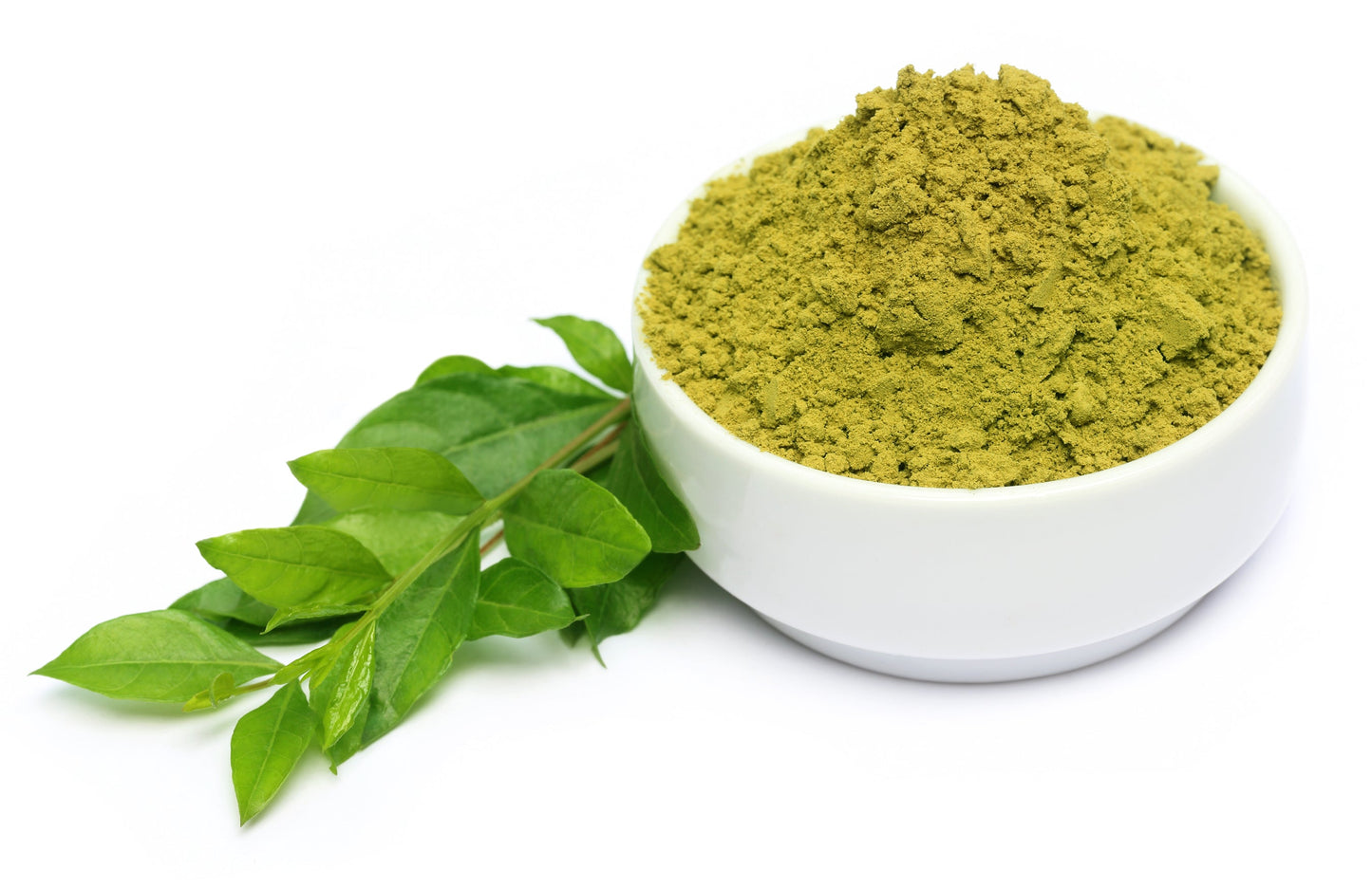20 Common Henna/Mehandi Dye Plant (Lawsonia Inermis) Seeds