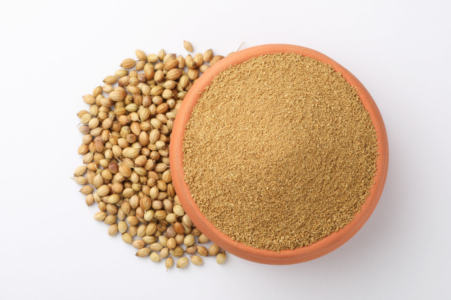 100 Fiesta Green Cilantro / Coriander (Coriandrum Sativum) Seeds