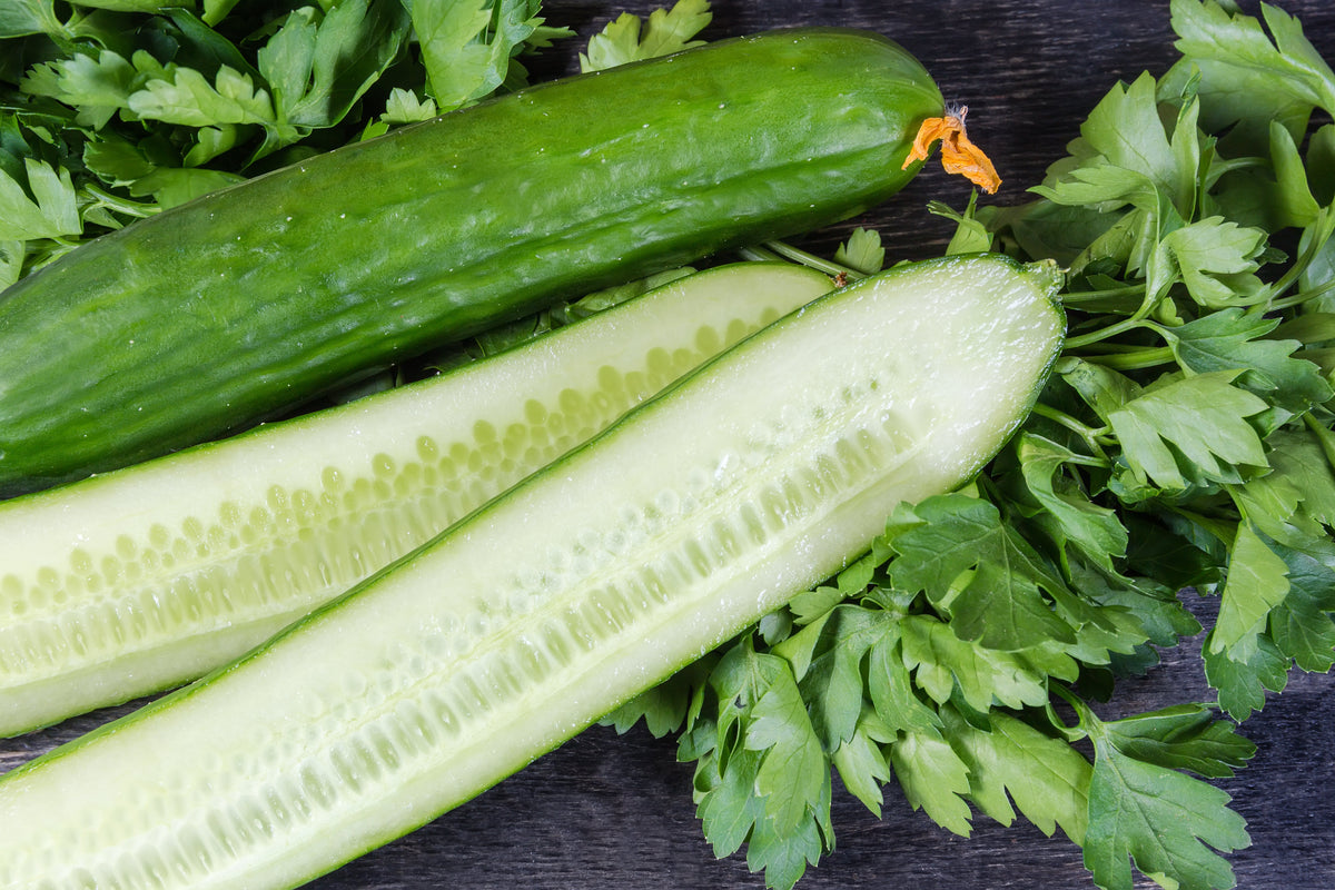 30 English Cucumber (Cucumis Sativus) Seeds
