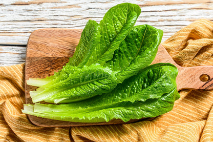 3000 Parris Island Romaine Lettuce (Lactuca Sativa) Seeds