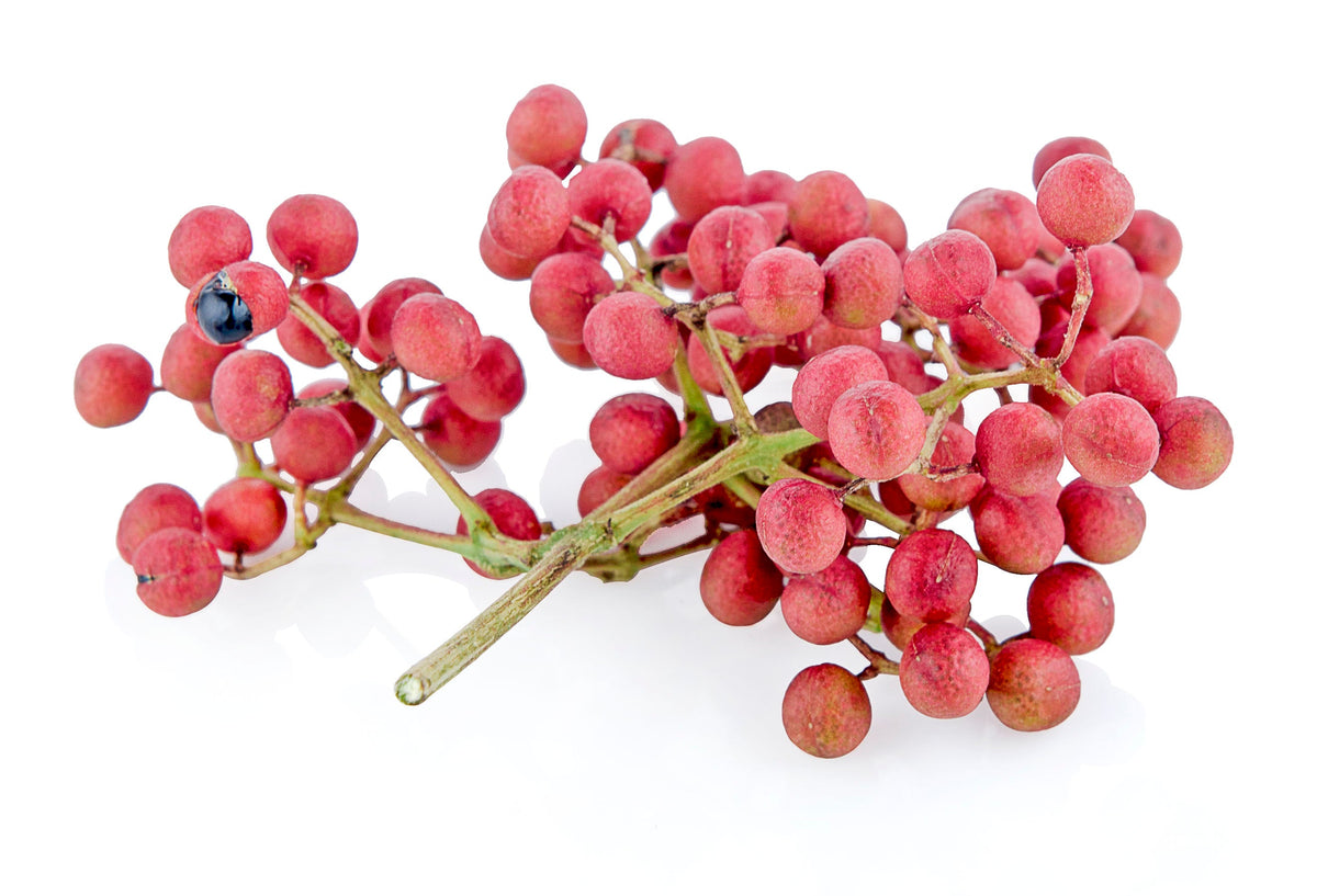 Sichuan Pepper (Zanthoxylum bungeanum) Seeds – 25 ct