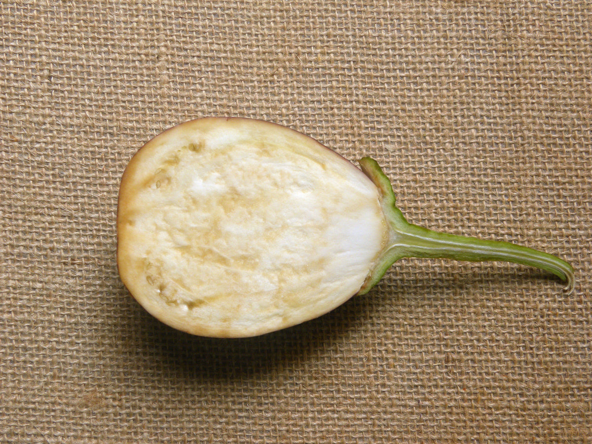 Organic Rosa Bianca Eggplant (Solanum melongena) Seeds – 50 ct