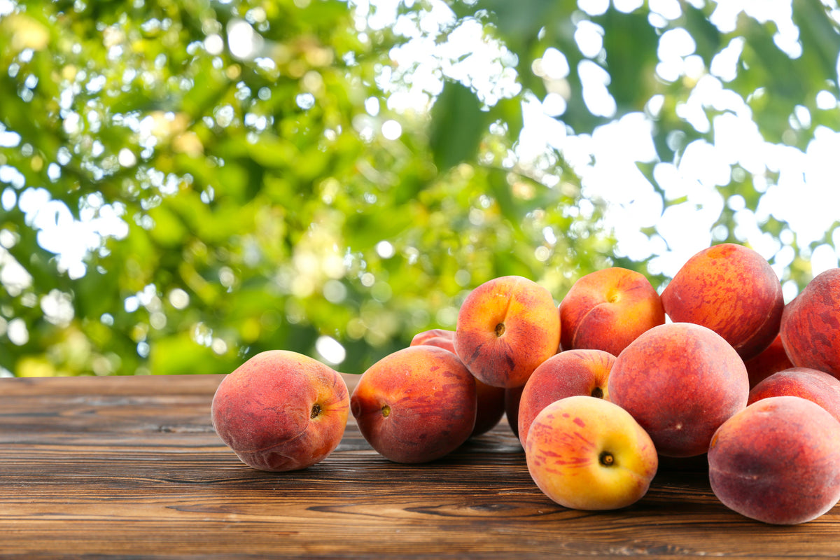 3 Nemaguard PeachTree (Prunus Persica) Seeds