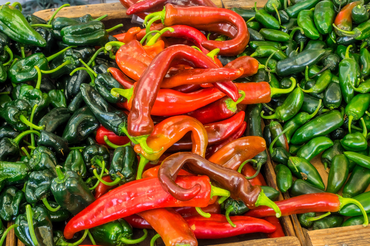 Anaheim Chili Pepper (Capsicum annuum) Seeds – 300 ct