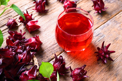 Roselle (Hibiscus sabdariffa) Seeds – 50 ct