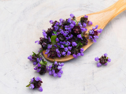 100 HEAL ALL Self Heal Prunella Vulgaris Purple Herb Flower Seeds