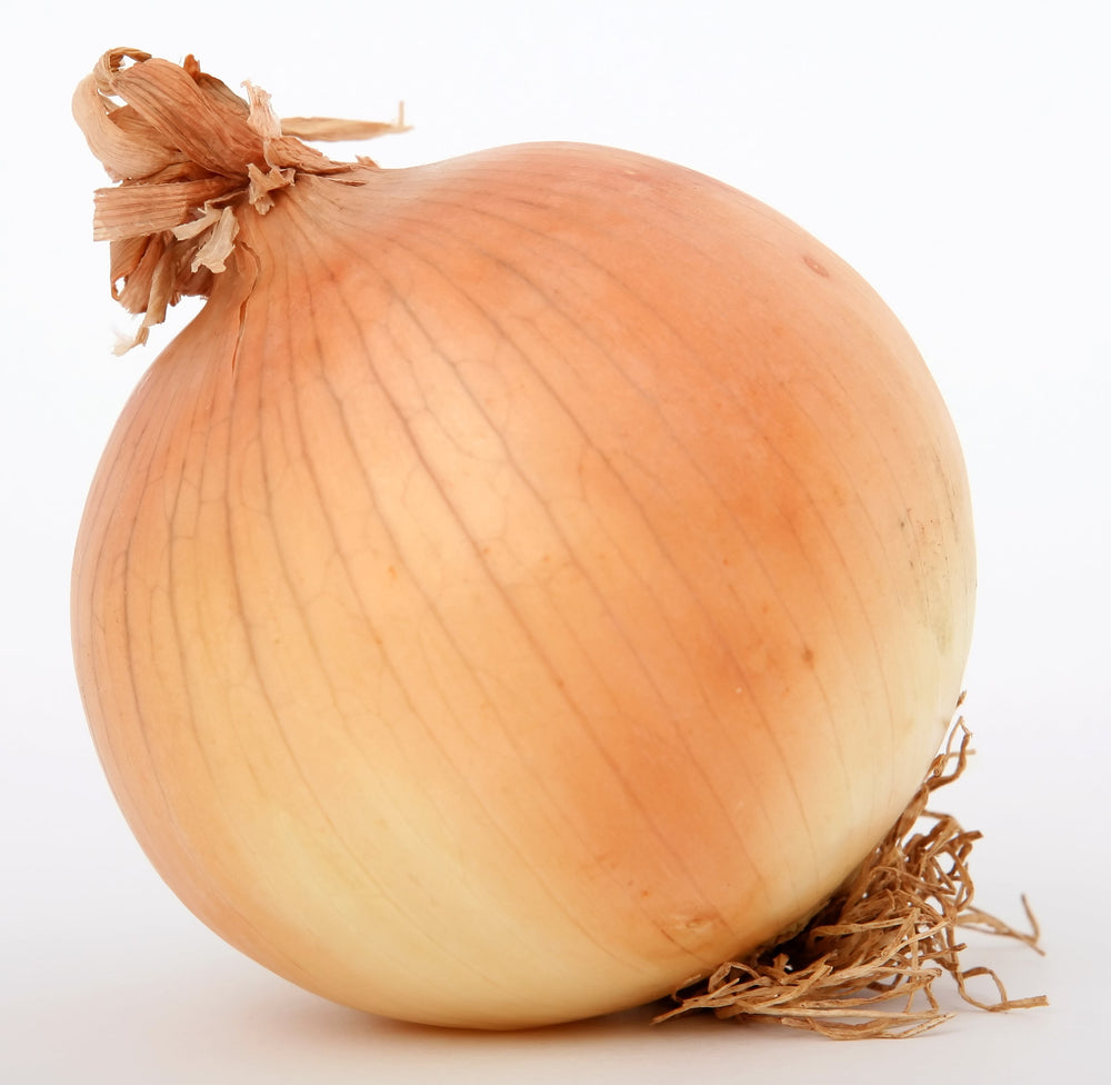 250 Sweet Walla Walla Onion (Allium Cepa) Seeds