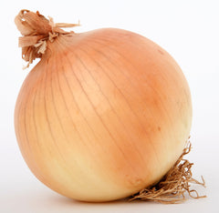 250 Sweet Walla Walla Onion (Allium Cepa) Seeds