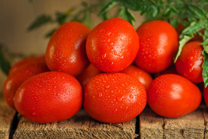 50 Amish Paste Tomato (Lycopersicon) Seeds