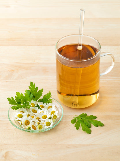 300 Feverfew (Tanacetum Parthenium) Seeds