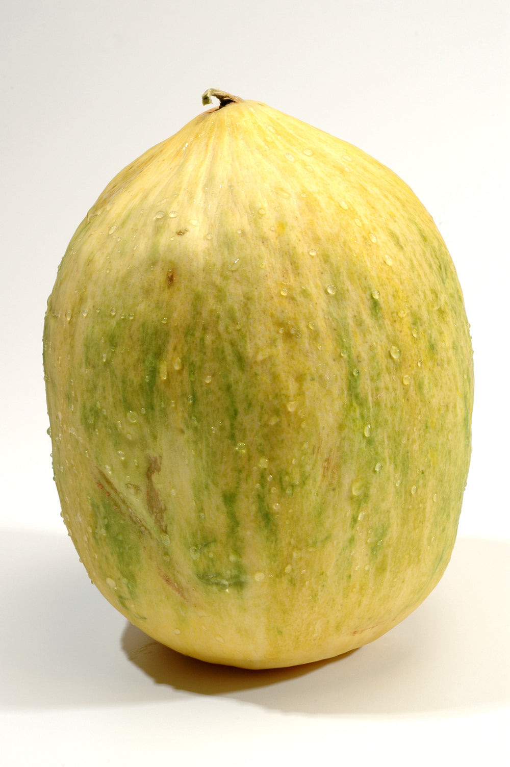 30 Crenshaw Melon / Muskmelon (Cucumis Melo) Seeds