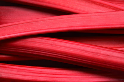25 Victoria Rhubarb (Rheum Rhabarbarum) Seeds