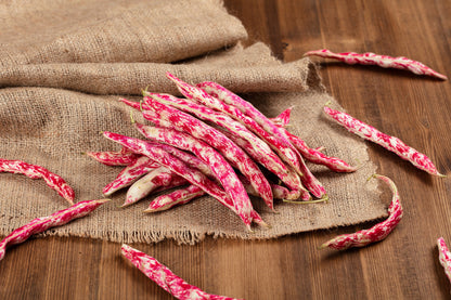 Borlotti Cranberry Bean (Phaseolus vulgaris) Seeds – 50 ct