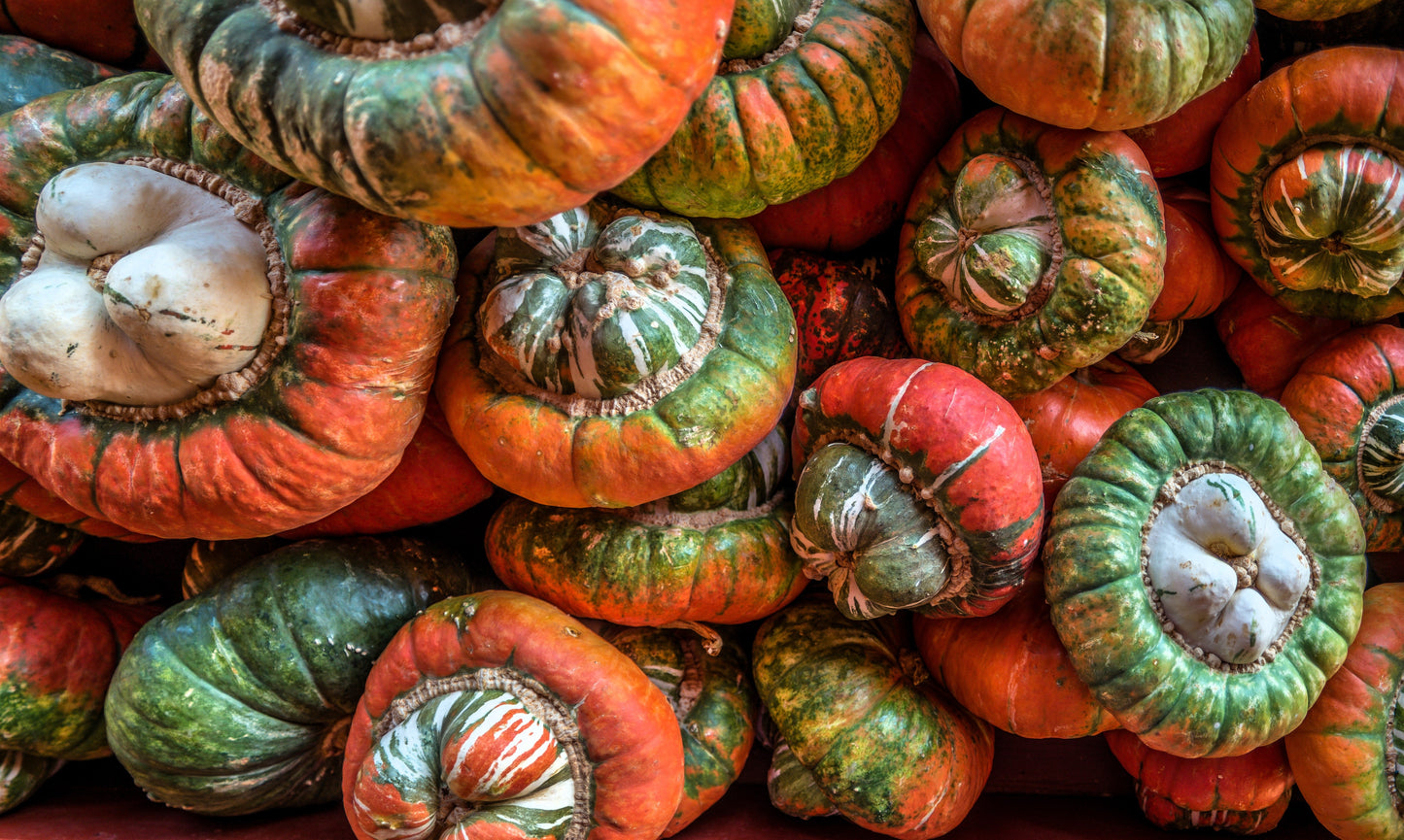 10 American Turks Turban Squash (Cucurbita Maxima) Seeds