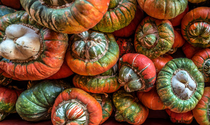 10 American Turks Turban Squash (Cucurbita Maxima) Seeds