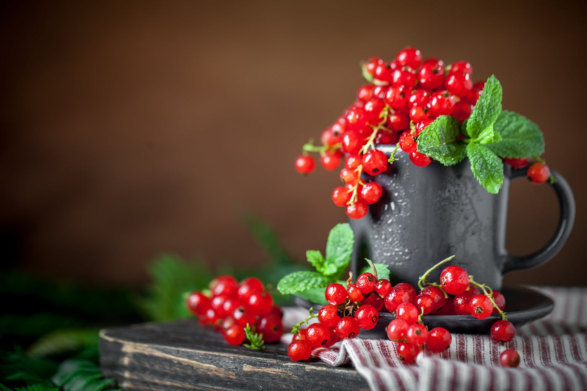 20 Red WAX CURRANT Edible Fruit Berries Pink Flowers Shrub Ribes Cereum Seeds
