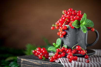 20 Red WAX CURRANT Edible Fruit Berries Pink Flowers Shrub Ribes Cereum Seeds