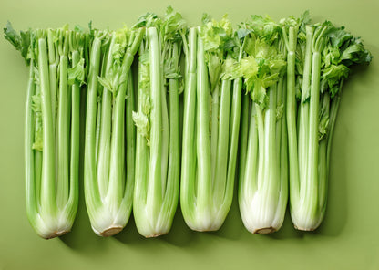 1000 Tall Utah Celery (Apium Graveolens) Seeds