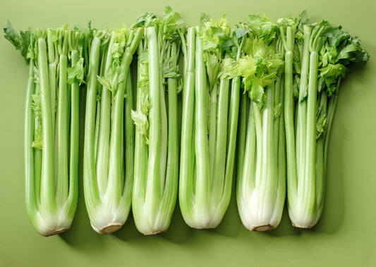 1000 Tall Utah Celery (Apium Graveolens) Seeds