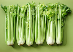 1000 Tall Utah Celery (Apium Graveolens) Seeds