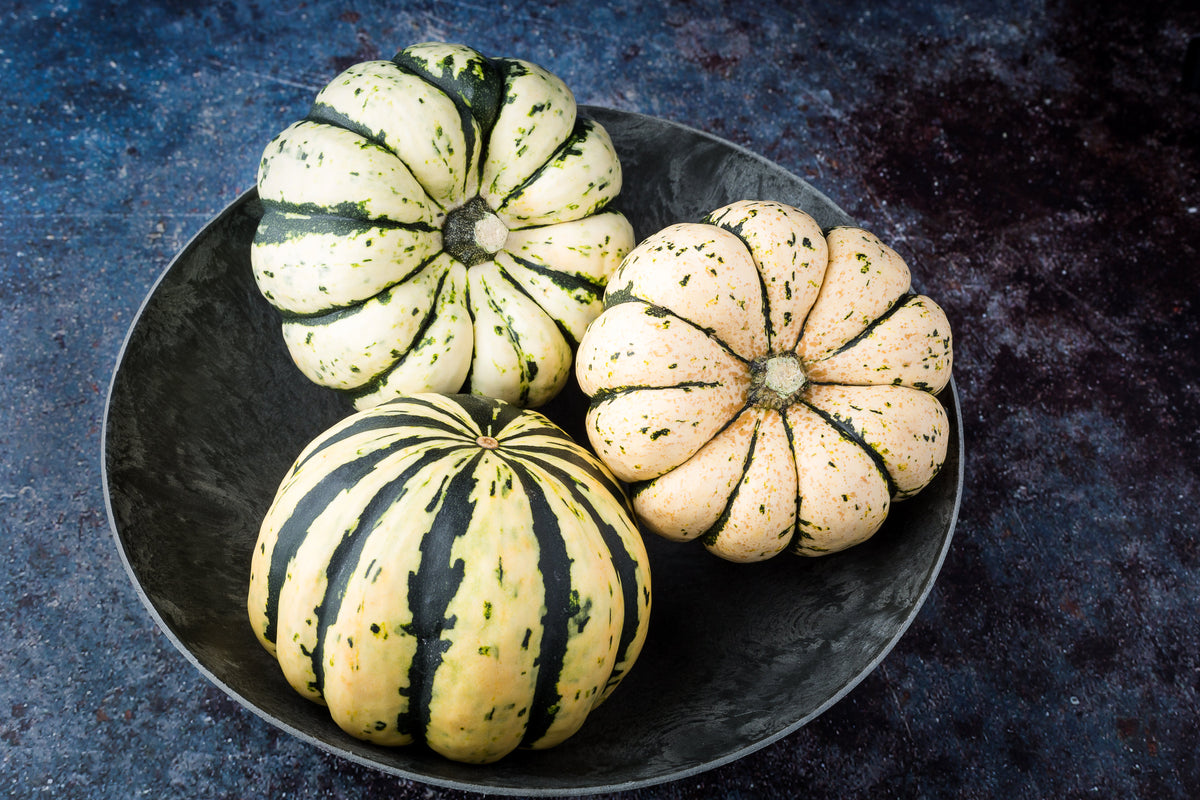 25 SWEET DUMPLING SQUASH Orange Winter Delicata Cucurbita Maxima Vegetable Seeds