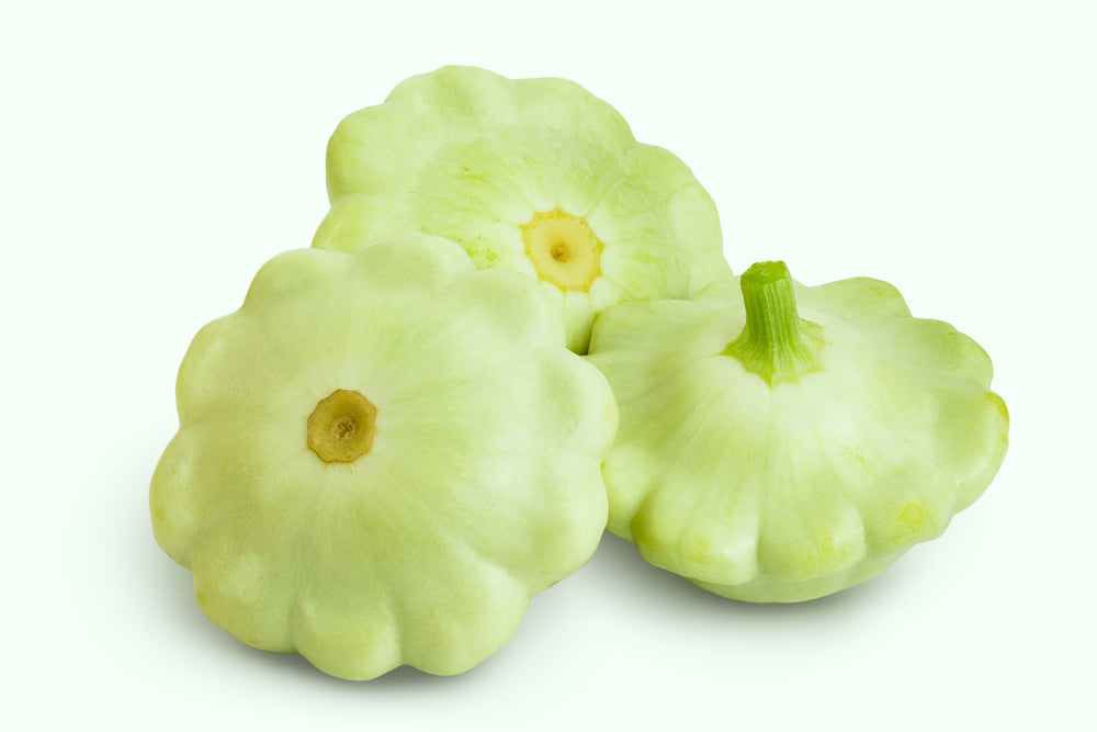20 Green Patty Pan Squash (Cucurbita Pepo) Seeds