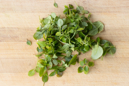 500 Dwarf Greek Basil (Ocimum Basilicum) Seeds