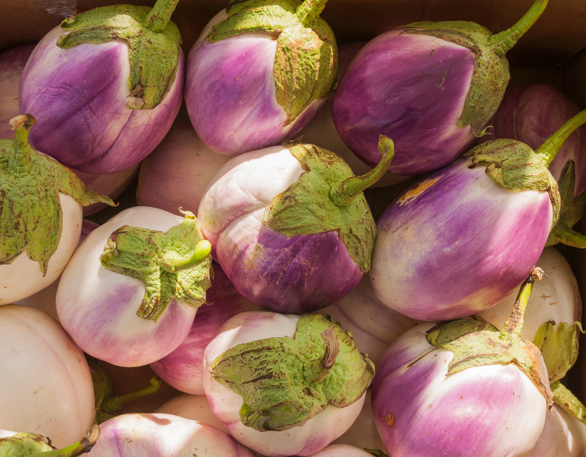 Organic Rosa Bianca Eggplant (Solanum melongena) Seeds – 50 ct
