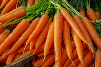 1500 Tendersweet Carrot (Daucus Carota) Seeds
