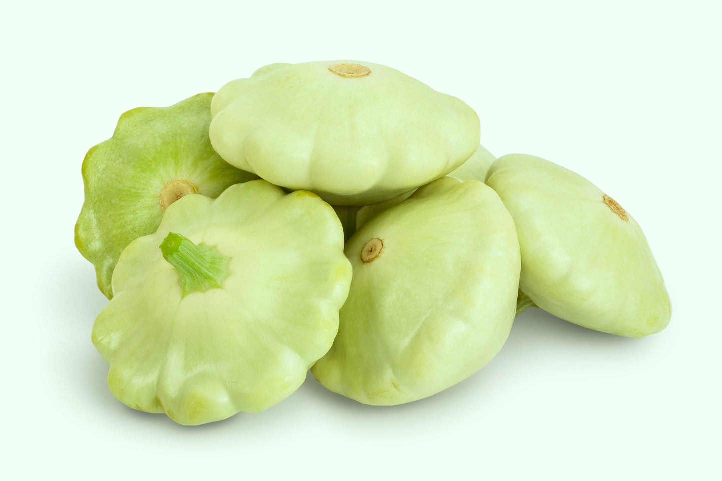 20 Green Patty Pan Squash (Cucurbita Pepo) Seeds