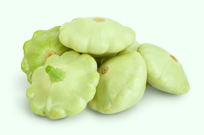 20 Green Patty Pan Squash (Cucurbita Pepo) Seeds