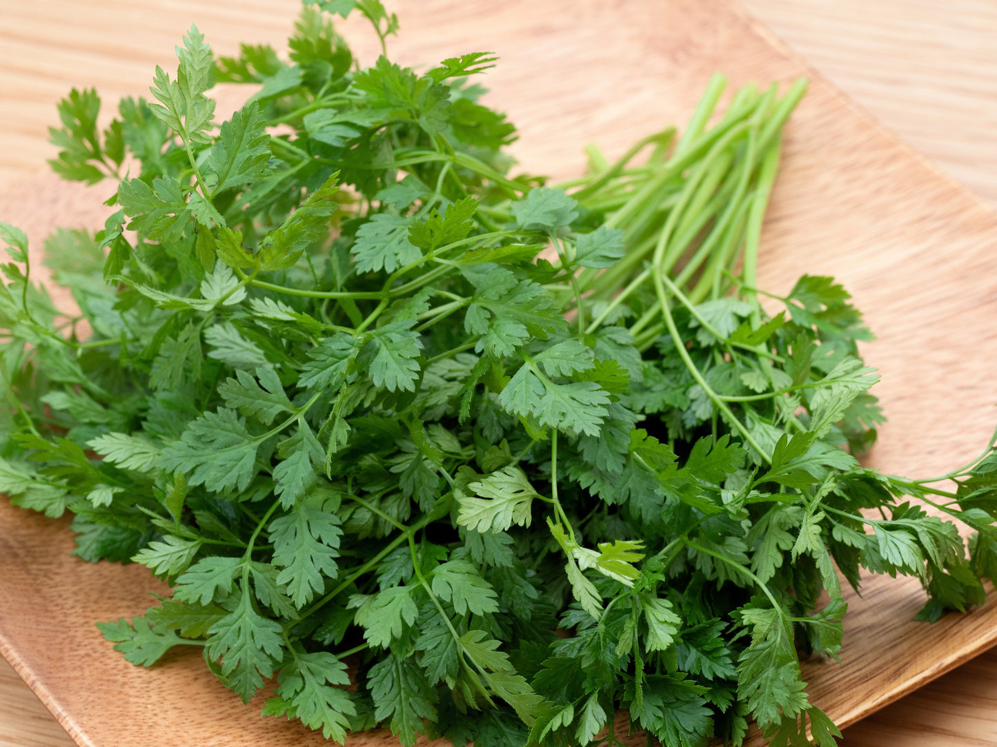 200 Brussels Winter Chervil (Anthriscus Cerefolium) Seeds