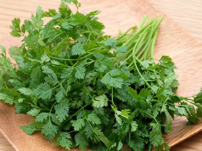 200 Brussels Winter Chervil (Anthriscus Cerefolium) Seeds