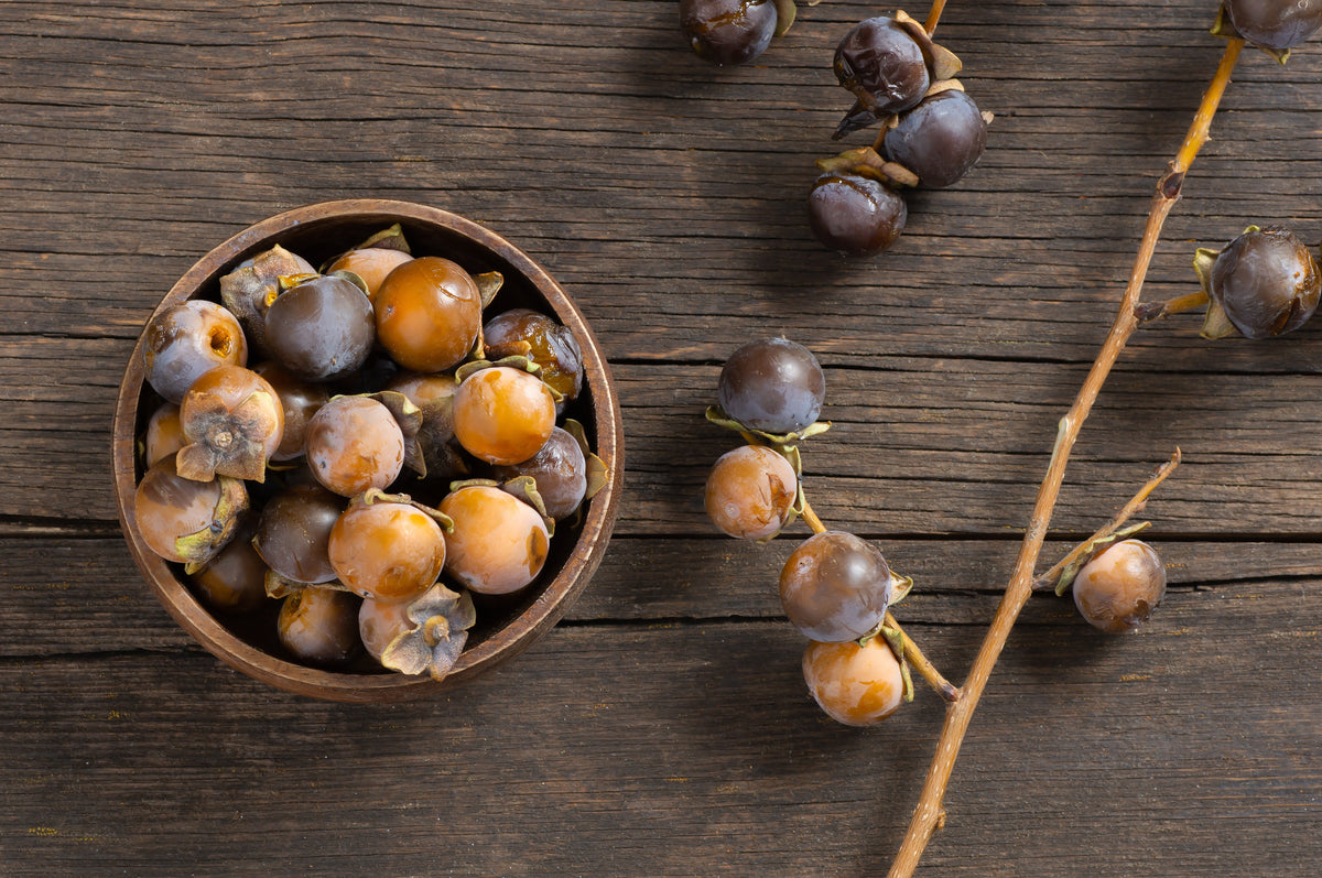Date Plum Persimmon (Diospyros lotus) Seeds – 10 ct