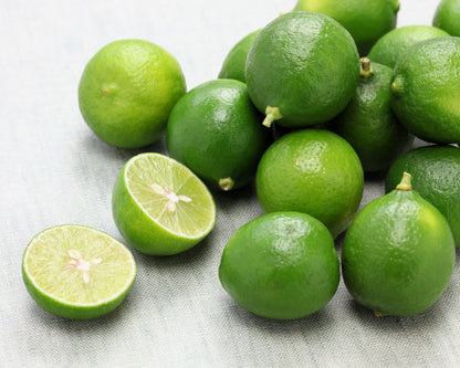 15 Key Lime (Citrus Aurantifolia) Seeds