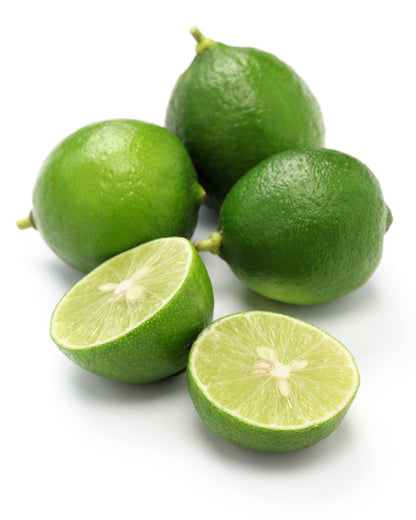 15 Key Lime (Citrus Aurantifolia) Seeds
