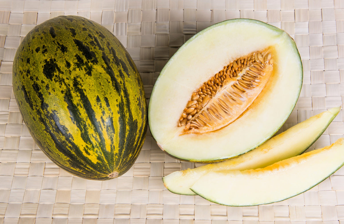 Piel De Sapo Melon (Cucumis melo) Seeds – 50 ct