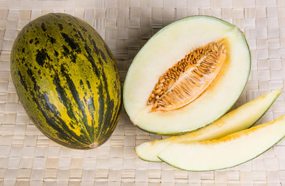 Piel De Sapo Melon (Cucumis melo) Seeds – 50 ct