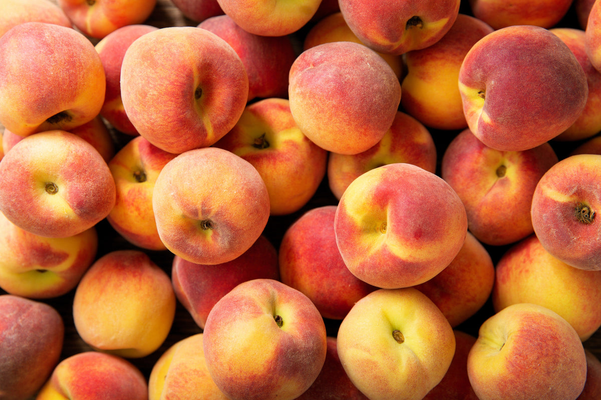 3 Nemaguard PeachTree (Prunus Persica) Seeds
