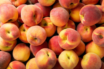3 Nemaguard PeachTree (Prunus Persica) Seeds