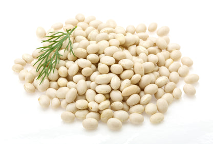 50 White Great Northern Bean (Phaseolus Vulgaris) Seeds