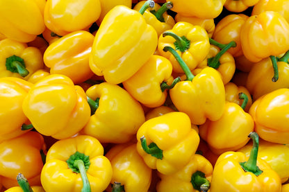 100 Yellow Bell Pepper (Capsicum Annuum) Seeds