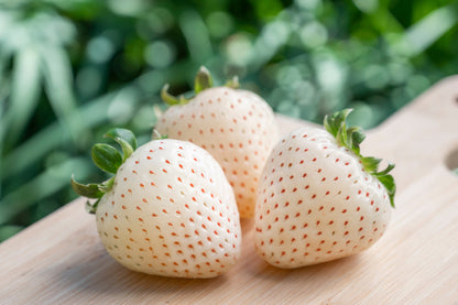 100 WHITE SOUL STRAWBERRY Fragaria Vesca Fruit Flower Berry Seeds