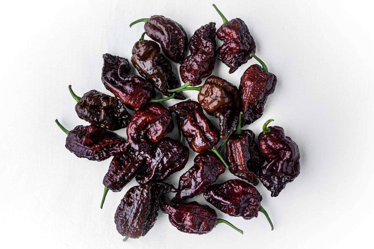 10 Chocolate Carolina Reaper Pepper (Capsicum Chinense) Seeds