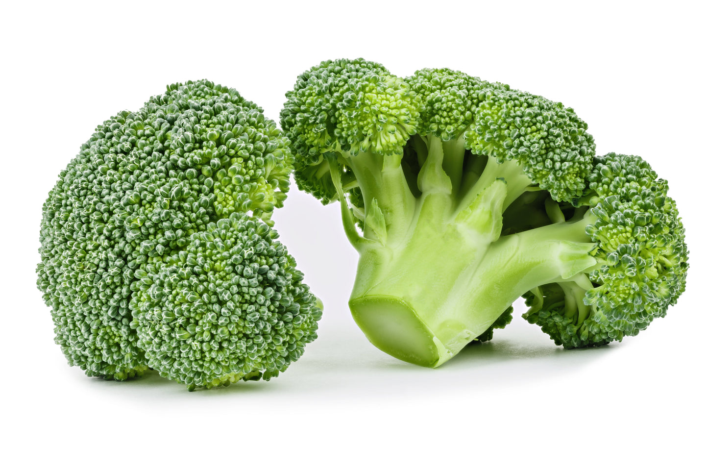 1000 Di Cicco Broccoli (Brassica Oleracea Capitata) Seeds