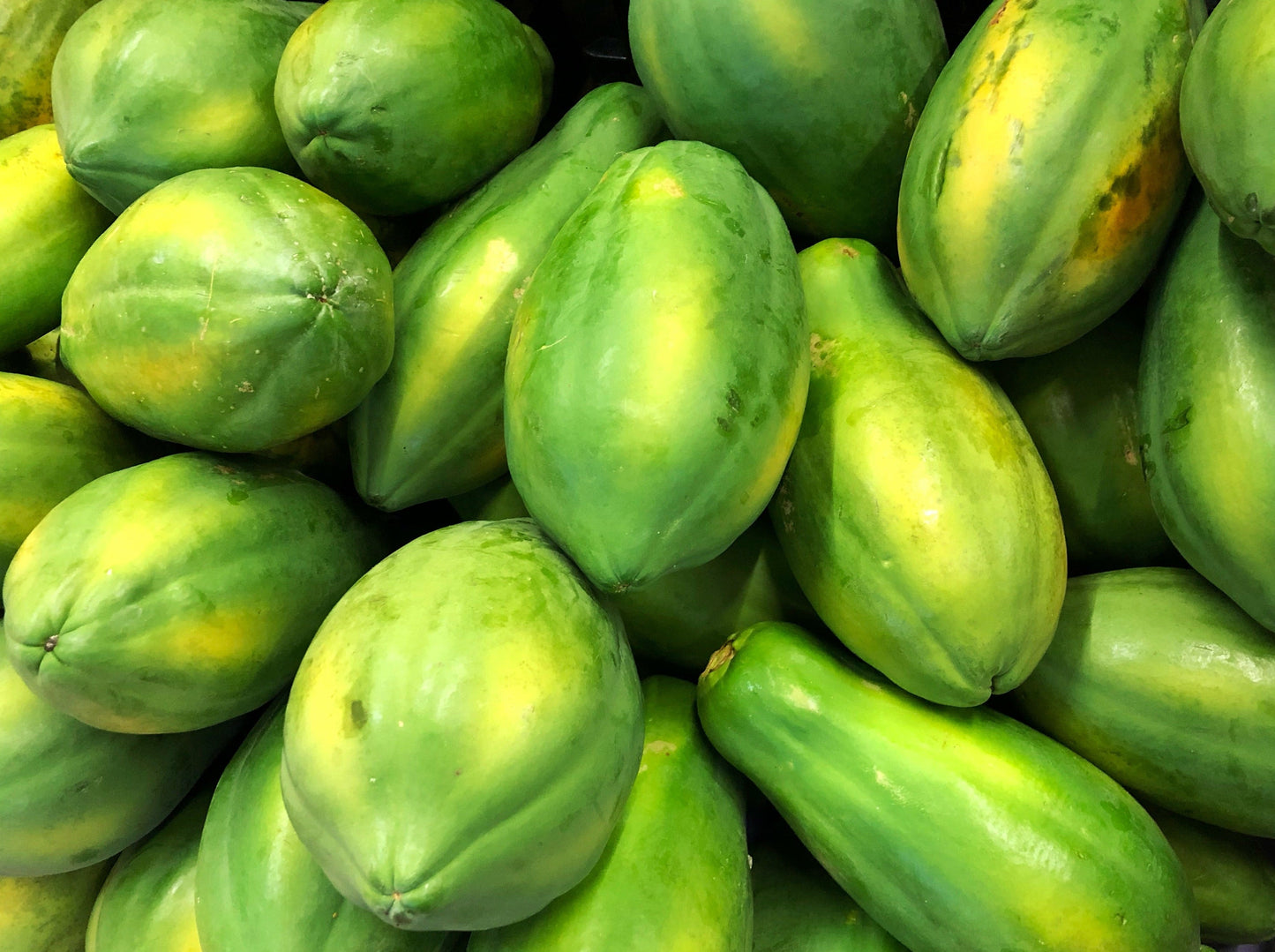 30 Papaya Tree (Carica Papaya) Seeds