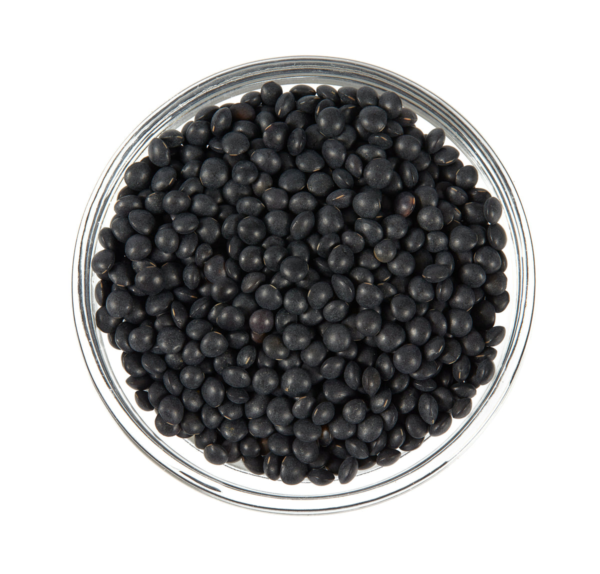100 Black Lentil (Lens Culinaris) Seeds