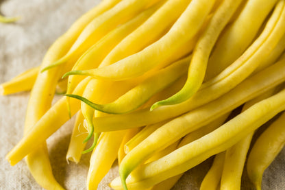 50 Yellow CHEROKEE WAX BEAN Bush AAS Winner Phaseolus Vulgaris Seeds